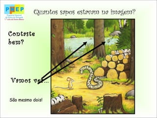 Quantos sapos estavam na imagem?
Contaste
bem?
Vamos ver...
São mesmo dois!
 