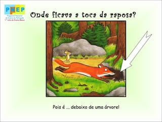 Onde ficava a toca da raposa?
Pois é ... debaixo de uma árvore!
 