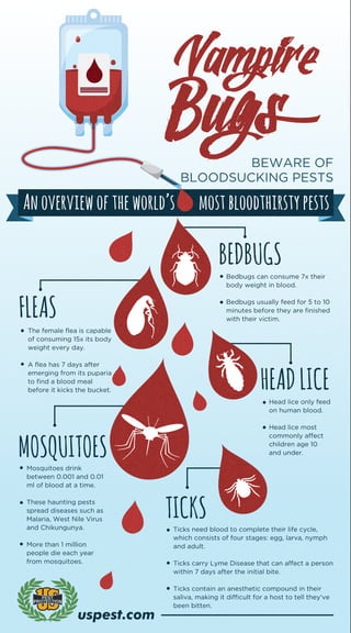 BEWARE OF 
BLOODSUCKING PESTS 
An overview of the world’s most bloodthirsty pests 
BEDBUGS 
Bedbugs can consume 7x their 
body weight in blood. 
Bedbugs usually feed for 5 to 10 
minutes before they are finished 
with their victim. FLEAS 
The female flea is capable 
of consuming 15x its body 
weight every day. 
A flea has 7 days after 
emerging from its puparia 
to find a blood meal 
before it kicks the bucket. 
MOSQUITOES 
Mosquitoes drink 
between 0.001 and 0.01 
ml of blood at a time. 
These haunting pests 
spread diseases such as 
Malaria, West Nile Virus 
and Chikungunya. 
More than 1 million 
people die each year 
from mosquitoes. 
HEAD LICE 
Head lice only feed 
on human blood. 
Head lice most 
commonly affect 
children age 10 
and under. 
TICKS 
Ticks need blood to complete their life cycle, 
which consists of four stages: egg, larva, nymph 
and adult. 
Ticks carry Lyme Disease that can affect a person 
within 7 days after the initial bite. 
Ticks contain an anesthetic compound in their 
saliva, making it difficult for a host to tell they've 
been bitten. 
uspest.com 
