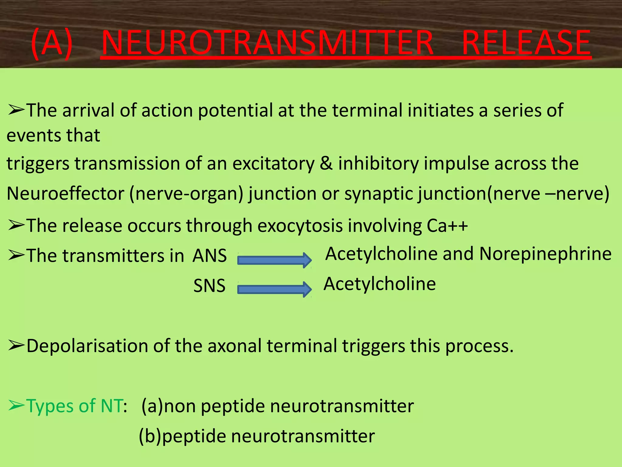 Neurohumoral transmission in ANS ( autonomic nervous system) updated PPT