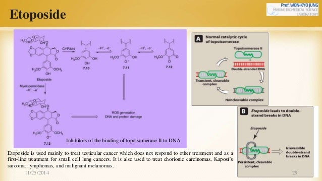 Van tinh nguyen chapter 39-anticancer drugs Van tinh nguyen chapter 39-anticancer drugs