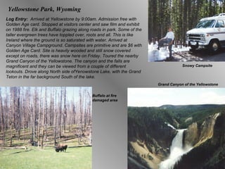 Yellowstone Park, Wyoming Log Entry:  Arrived at Yellowstone by 9:00am. Admission free with Golden Age card. Stopped at visitors center and saw film and exhibit on 1988 fire. Elk and Buffalo grazing along roads in park. Some of the taller evergreen trees have toppled over, roots and all. This is like Ireland where the ground is so saturated with water. Arrived at Canyon Village Campground. Campsites are primitive and are $6 with Golden Age Card. Site is heavily wooded and still snow covered except on roads, there was snow here on Friday. Toured the nearby Grand Canyon of the Yellowstone. The canyon and the falls are magnificent and they can be viewed from a couple of different lookouts. Drove along North side ofYenowstone Lake, with the Grand Teton in the far background South of the lake. Snowy Campsite Grand Canyon of the Yellowstone Buffalo at fire damaged area 
