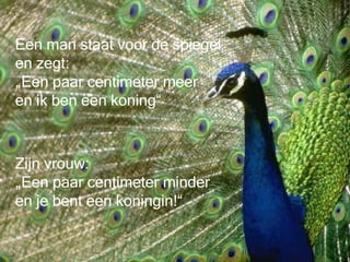 Een man staat voor de spiegel en zegt:  „Een paar centimeter meer  en ik ben een koning“ Zijn vrouw:  „ Een paar centimeter minder  en je bent een koningin!“ 