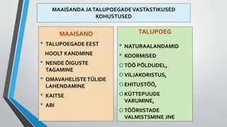MAAISANDA JATALUPOEGADEVASTASTIKUSED
KOHUSTUSED
MAAISAND
• TALUPOEGADE EEST
HOOLT KANDMINE
• NENDE ÕIGUSTE
TAGAMINE
• OMAVAHELISTETÜLIDE
LAHENDAMINE
• KAITSE
• ABI
TALUPOEG
• NATURAALANDAMID
• KOORMISED
oTÖÖ PÕLDUDEL,
oVILJAKORISTUS,
oEHITUSTÖÖ,
oKÜTTEPUUDE
VARUMINE,
oTÖÖRIISTADE
VALMISTSMINE JNE
 