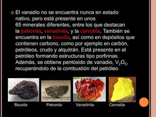    El vanadio no se encuentra nunca en estado
    nativo, pero está presente en unos
    65 minerales diferentes, entre los que destacan
    la patronita, vanadinita, y la carnotita. También se
    encuentra en la bauxita, así como en depósitos que
    contienen carbono, como por ejemplo en carbón,
    petróleos, crudo y alquitrán. Está presente en el
    petróleo formando estructuras tipo porfirinas.
    Además, se obtiene pentóxido de vanadio, V2O5,
    recuperándolo de la combustión del petróleo




    Bauxita      Patronita    Vanadinita    Carnotita
 