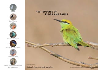Egret
Black Drongo
Tailor Bird
Verditer Flycatcher
Tickell’s Blue Flycatcher
Brahminy Myna
Yellow Crowned Woodpecker
and many more.. Actual shot around Vanaha
400+ SPECIES OF
FLORA AND FAUNA
Green Bea Eater
*As per the study done by Natural Signatures on February 2020.
 