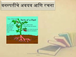 वनस्पतींचे अवयव आणि रचना

© Jnana Prabodhini Educational Resource
Centre

1

 