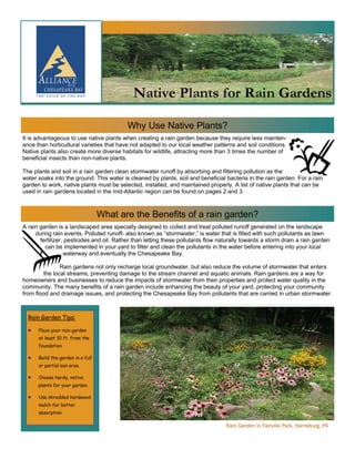 Why Use Native Plants?
It is advantageous to use native plants when creating a rain garden because they require less mainten-
ance than horticultural varieties that have not adapted to our local weather patterns and soil conditions.
Native plants also create more diverse habitats for wildlife, attracting more than 3 times the number of
beneficial insects than non-native plants.

The plants and soil in a rain garden clean stormwater runoff by absorbing and filtering pollution as the
water soaks into the ground. This water is cleaned by plants, soil and beneficial bacteria in the rain garden. For a rain
garden to work, native plants must be selected, installed, and maintained properly. A list of native plants that can be
used in rain gardens located in the mid-Atlantic region can be found on pages 2 and 3.



                                   What are the Benefits of a rain garden?
A rain garden is a landscaped area specially designed to collect and treat polluted runoff generated on the landscape
     during rain events. Polluted runoff- also known as “stormwater,” is water that is filled with such pollutants as lawn
       fertilizer, pesticides and oil. Rather than letting these pollutants flow naturally towards a storm drain a rain garden
         can be implemented in your yard to filter and clean the pollutants in the water before entering into your local
                  waterway and eventually the Chesapeake Bay.

               Rain gardens not only recharge local groundwater, but also reduce the volume of stormwater that enters
        the local streams, preventing damage to the stream channel and aquatic animals. Rain gardens are a way for
homeowners and businesses to reduce the impacts of stormwater from their properties and protect water quality in the
community. The many benefits of a rain garden include enhancing the beauty of your yard, protecting your community
from flood and drainage issues, and protecting the Chesapeake Bay from pollutants that are carried in urban stormwater.



  Rain Garden Tips:

  •   Place your rain garden
      at least 10 ft. from the
      foundation

  •   Build the garden in a full
      or partial sun area.

  •   Choose hardy, native
      plants for your garden.

  •   Use shredded hardwood
      mulch for better
      absorption

                                                                                   Rain Garden in Fairville Park, Harrisburg, PA
 