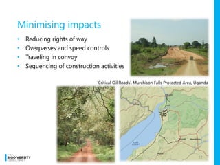 ‘Critical Oil Roads’, Murchison Falls Protected Area, Uganda
Minimising impacts
11
• Reducing rights of way
• Overpasses and speed controls
• Traveling in convoy
• Sequencing of construction activities
 