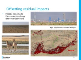 Offsetting residual impacts
12
Oyu Tolgoi mine, Rio Tinto, Mongolia
• Impacts to nomadic
Khulan due to mining
related infrastructure
Fence!
Photo: Petra Kaczensky
 