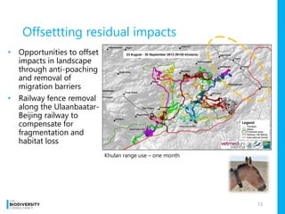 Offsettting residual impacts
• Opportunities to offset
impacts in landscape
through anti-poaching
and removal of
migration barriers
• Railway fence removal
along the Ulaanbaatar-
Beijing railway to
compensate for
fragmentation and
habitat loss
13
Photo: Petra Kaczensky
Khulan range use – one month
 