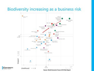 Source: World Economic Forum 2019 Risk Report
Biodiversity increasing as a business risk
 