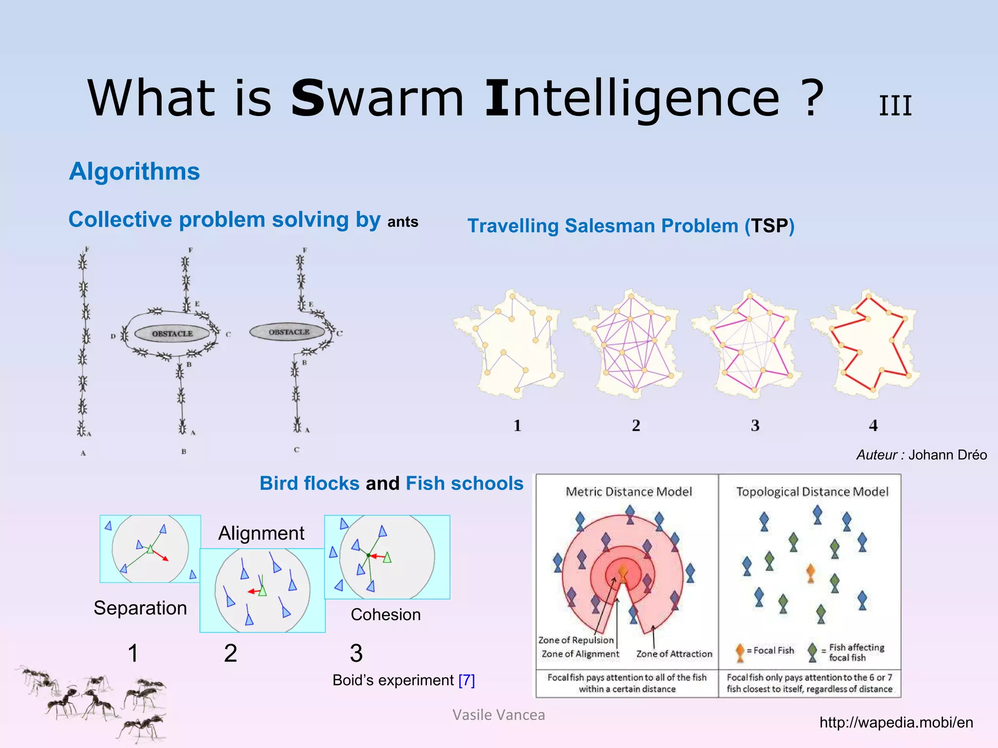 What is  S warm  I ntelligence ?  III Collective problem solving by  ants Algorithms Vasile Vancea Travelling Salesman Problem ( TSP ) 1  2  3 Bird flocks  and  Fish schools Cohesion Separation Alignment Auteur :  Johann Dréo http://wapedia.mobi/en Boid’s experiment  [7]   