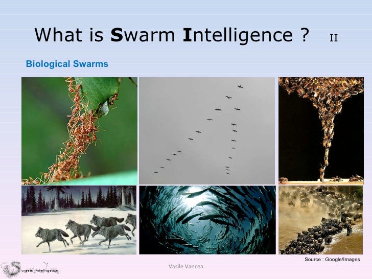 What is  S warm  I ntelligence ?  II Source : Google/Images Biological Swarms Vasile Vancea 