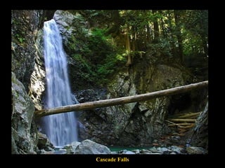 Cascade Falls 