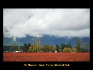 Pitt Meadows - Grant Narrows Regional Park 