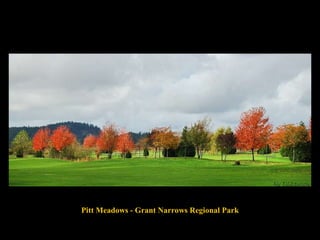 Pitt Meadows - Grant Narrows Regional Park 