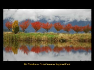 Pitt Meadows - Grant Narrows Regional Park 