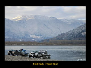 Chilliwack - Fraser River 
