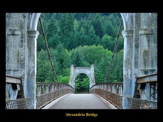 Alexandria Bridge 