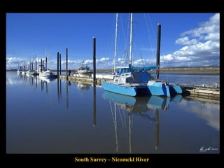 South Surrey - Nicomekl River 
