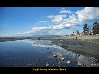 South Surrey - Crescent Beach 