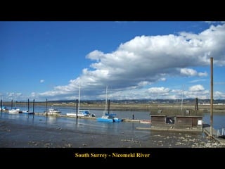 South Surrey - Nicomekl River 