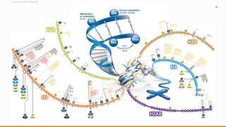 ©2016 All rights reserved
12
 