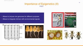 ©2016 All rights reserved
14
Importance of Epigenetics (II)
R & D
• Allows to (re)use one genomes for different purposes
• Allows to integrate intrinsic with environmental signals
 