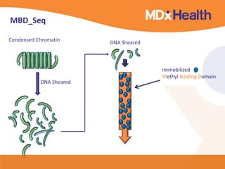 MBD_Seq
DNA Sheared
Immobilized
Methyl Binding Domain
Condensed Chromatin
DNA Sheared
 