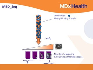 Immobilized
Methyl binding domain
MgCl2
Next Gen Sequencing
GA Illumina: 100 million reads
MBD_Seq
 