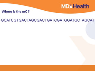 GCATCGTGACTAGCGACTGATCGATGGATGCTAGCAT
Where is the mC ?
 