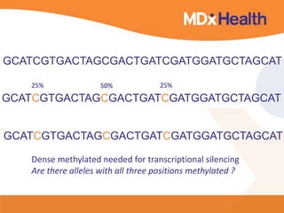 GCATCGTGACTAGCGACTGATCGATGGATGCTAGCAT
25% 50% 25%
GCATCGTGACTAGCGACTGATCGATGGATGCTAGCAT
GCATCGTGACTAGCGACTGATCGATGGATGCTAGCAT
Dense methylated needed for transcriptional silencing
Are there alleles with all three positions methylated ?
 