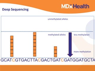GCATCGTGACTTACGACTGATCGATGGATGCTA
unmethylated alleles
less methylationmethylated alleles
more methylation
Deep Sequencing
 