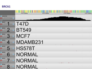 BRCA1
32
1 T47D
2 BT549
3 MCF7
4 MDAMB231
5 HS578T
6 NORMAL
7 NORMAL
8 NORMAL
 