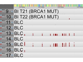 9 BI T21 (BRCA1 MUT)
10 BI T22 (BRCA1 MUT)
11 BLC
12 BLC
13 BLC
14 BLC
15 BLC
16 BLC
17 BLC
 