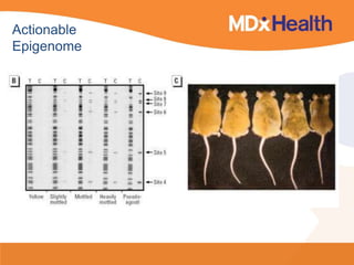Actionable
Epigenome
 