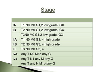 IA    T1 N0 M0 G1,2 low grade, GX
IB    T2 N0 M0 G1,2 low grade, GX
      T3N0 M0 G1,2 low grade, GX
IIA   T1 N0 M0 G3, 4 high grade
IIB   T2 N0 M0 G3, 4 high grade
III   T3 N0 M0 G3, 4
IVA   Any T N0 M1a any G
IVB   Any T N1 any M any G
      Any T any N M1b any G
 