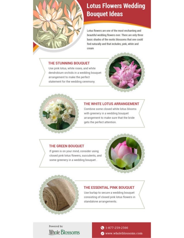 Buy Fresh Beautiful Lotus Flowers For Your Wedding