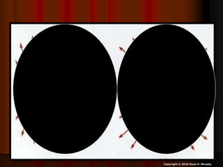 Copyright © 2010 Ryan P. Murphy
 