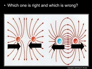 • Which one is right and which is wrong?
Copyright © 2010 Ryan P. Murphy
 