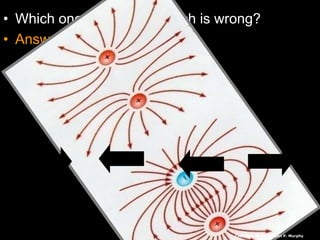 • Which one is right and which is wrong?
• Answer: They are both wrong.
Copyright © 2010 Ryan P. Murphy
 