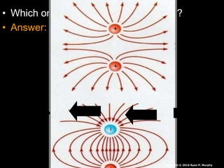 • Which one is right and which is wrong?
• Answer: They are both wrong.
Copyright © 2010 Ryan P. Murphy
 