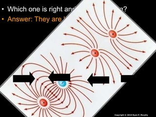 • Which one is right and which is wrong?
• Answer: They are both wrong.
Copyright © 2010 Ryan P. Murphy
 