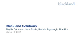 Blackland Solutions
Phyllis Doremus, Jack Garda, Rashin Rajasingh, Tim Rice
March 10, 2017
 