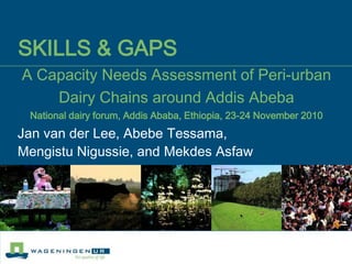 SKILLS & GAPSA Capacity Needs Assessment of Peri-urban Dairy Chains around Addis AbebaNational dairy forum, Addis Ababa, Ethiopia, 23-24 November 2010  Jan van der Lee, Abebe Tessama,  Mengistu Nigussie, and Mekdes Asfaw 