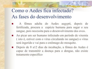 Como o Aedes fica infectado?
As fases do desenvolvimento
      A fêmea adulta do Aedes aegypti, depois de
    fertilizada, procura a espécie humana para sugar o seu
    sangue, pois necessita para o desenvolvimento dos ovos.
   Ao picar um ser humano infectado em período de viremia
    ( isto é, estiver com o vírus circulando no sangue) o vírus
    será ingerido e vai para o estômago do mosquito.
   Depois de 8 a12 dias da incubação, a fêmea do Aedes é
    capaz de transmitir a doença para o dengue, não existe
    tratamento específico
 