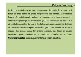 Os fungos verdadeiros sofreram um processo de irradiação a cerca de 1
bilhão de anos, como um grupo independente dos animais. As evidencias
fosseis são relativamente pobres se comparadas a outros grupos, e
indicam sua presença no Proterozoico (900 - 570 milhões de anos). Sua
diversidade aumentou durante a Era Paleozóica, com a presença de todas
as classes modernas na Época Pensilvânia (320 - 286 milhões de anos). A
Origem dos fungosOrigem dos fungos
as classes modernas na Época Pensilvânia (320 - 286 milhões de anos). A
maioria dos grupos parece ter origem terrestre, mas todos os grupos
invadiram águas continentais e marinhas. Exceção é a Classe
ChytridiomycetesChytridiomycetes que provavelmente teve origem aquática.
 