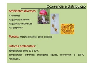Ocorrência e distribuiçãoOcorrência e distribuição
AmbientesAmbientes diversosdiversos:
•• TerrestresTerrestres
•• AquáticosAquáticos marinhosmarinhos
•• AquáticosAquáticos continentaiscontinentais
•• ArAr (esporos)
FontesFontes:: matéria orgânica, água, oxigênio
FatoresFatores ambientaisambientais::
Temperaturas entre 20 e 30°C
Temperaturas extremas: (nitrogênio líquido, sobrevivem a 195°C
negativos).
 