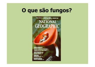 OO queque sãosão fungosfungos??
 